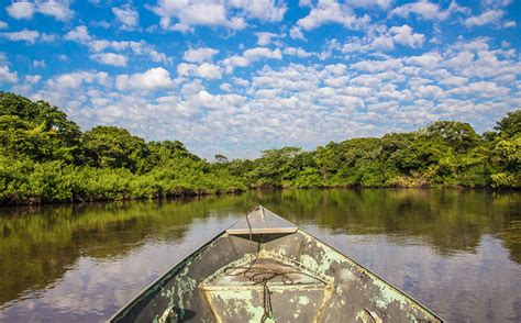 Conheça o Pantanal do Mato Grosso do Sul passando por Aquidauana MS