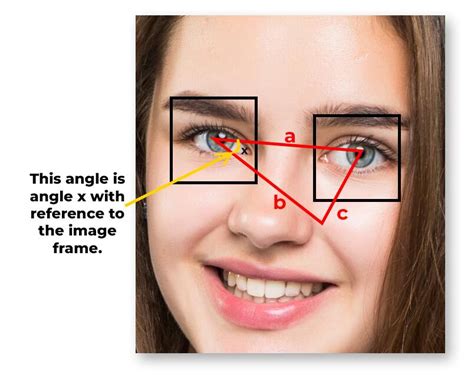 Face Alignment With Opencv And Python Geeksforgeeks