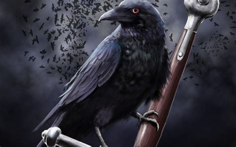 Ravens Crows Dark Black Birds Desktop Wallpapers Wallpapers Com