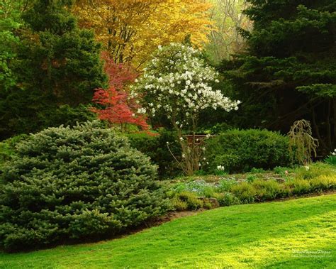 Find over 100+ of the best free garden background images. Garden Wallpapers - Wallpaper Cave