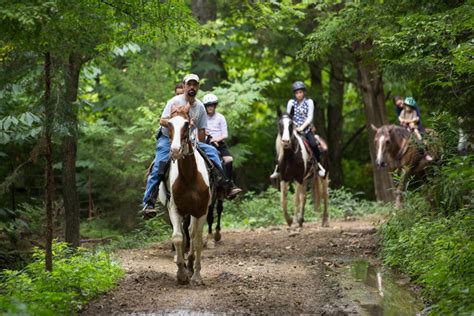 Five Oaks Riding Stables Review Photos More