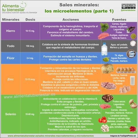Sales Minerales Macroelementos Y Microelementos Minerales Nutricion