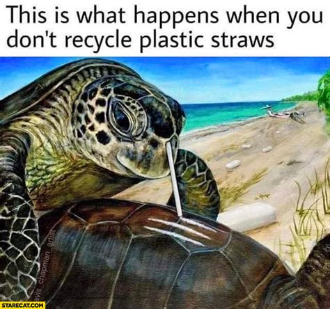 Plastic Straws Memes