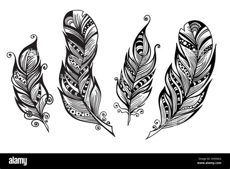 Vector Set Of Four Decorative Feathers Vector Illustration For Your