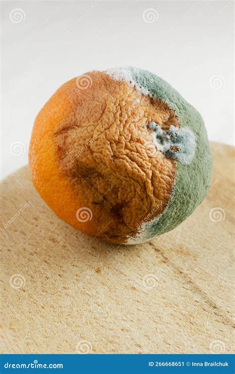 Moldy Grapefruit On A Wooden Board On White Background Rotten Fruits