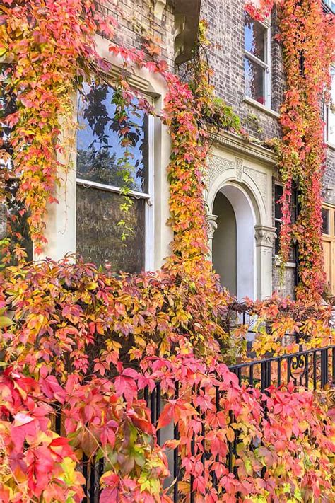 Autumn In London Where To See Autumn Colours In London Brogan Abroad
