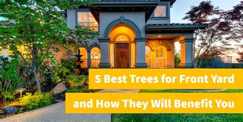 5 Best Trees For Front Yard And How They Will Benefit You