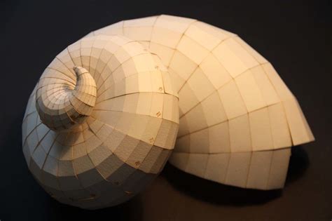 Paper Nautilus 3 Cardboard Sculpture Cardboard Art Paper Crafts
