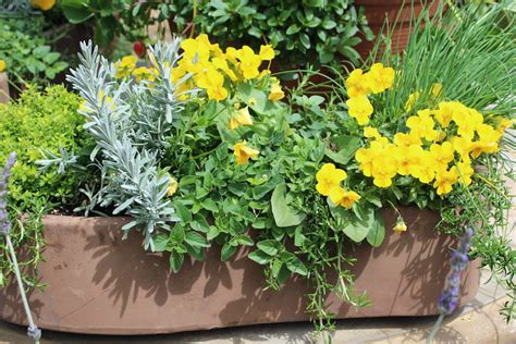 The gradual fading flowers give you something beautiful to take in as you adjust to the situation. Let our designers create a beautiful French Garden just ...