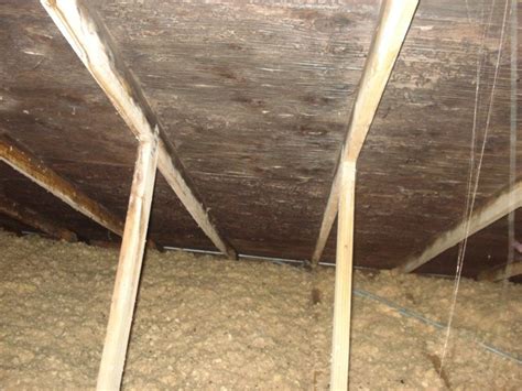 We have put together a list of mold specialists that provide free home inspections. Mold inspection - Great Environmental - Mold testing near ...