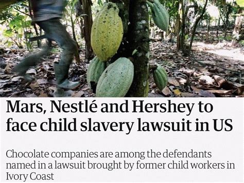 Nestlé Is Facing A Child Slavery Lawsuit In The Us I Am Beyond Upset