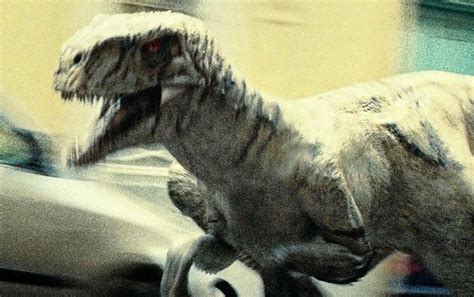 Watch The Jurassic World Dominion Atrociraptor Chase Scene In Malta
