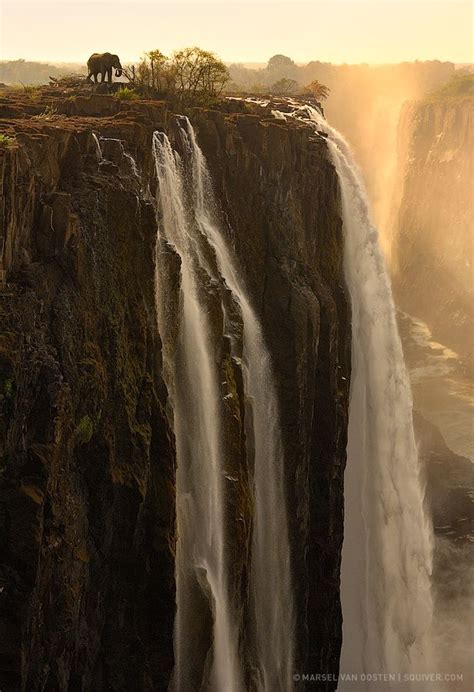 Brave Elephant Victoria Falls Zimbabwe Victoria Falls Zambia