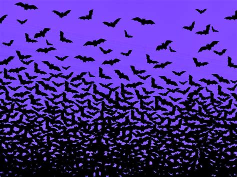 Halloween Bat Wallpapers Wallpaper Cave
