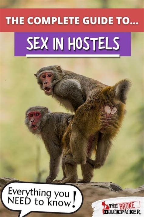 Sex In Hostels Steamy Stories Lessons For 2023