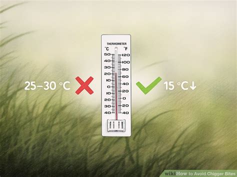 This can last for a few days to a few weeks. How to Avoid Chigger Bites: 10 Steps (with Pictures) - wikiHow