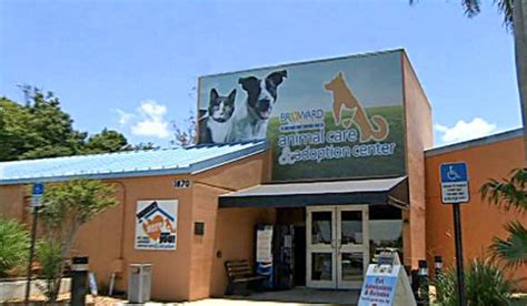 If you are looking to adopt a dog. Broward County Animal Care And Adoption Center - petfinder