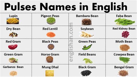 100 Household Items Names In English Englishan