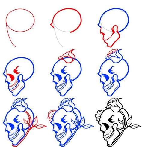 How To Draw A Skull Step By Step Realistic Caryn Stil
