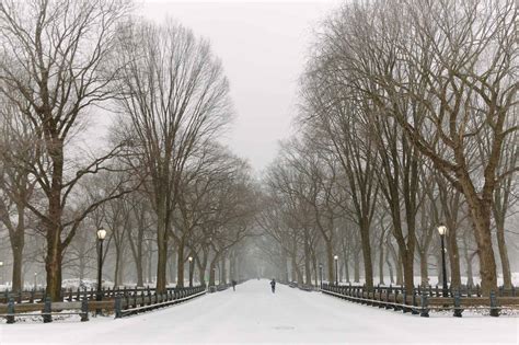 Snow In Central Park Nyc York Avenue The Blog