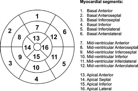 Bulls Eye Plots Showing Global Myocardium Using Aha 16 Segments Model