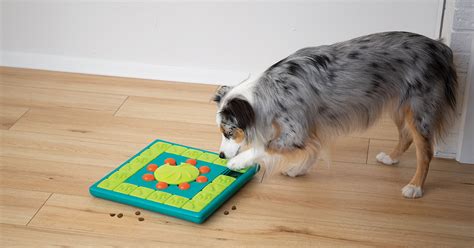 Puzzle toys are a type of interactive dog toy that allows your pooch to solve a problem and get a special dog treat! The 6 Best Dog Puzzle Toys for Mental Stimulation ...