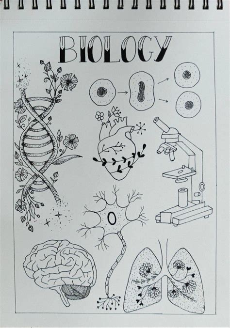 A Book With Drawings On It That Says Biology