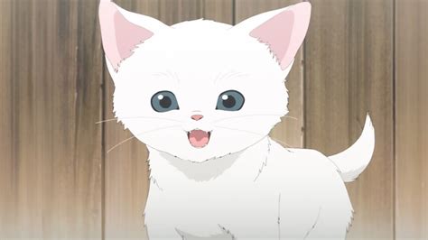 Update 159 White Anime Cat Best Vn