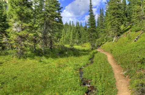 Continental Divide Trail At Rocky Mountains National Park