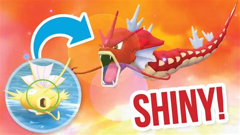 Catching Shiny Magikarp And Evolving Shiny Gyarados Pokémon Lets Go