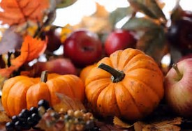 Image result for fall pictures with pumpkins