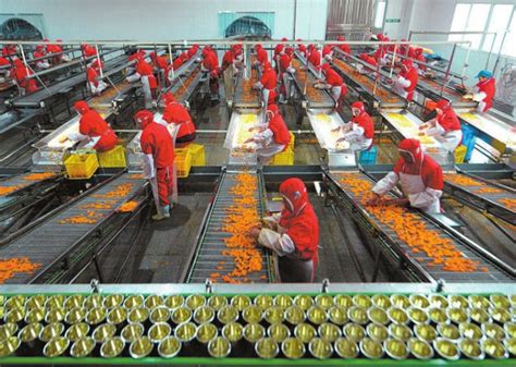 Almost 500m Invested In Vietnams Farm Product Processing Industry In