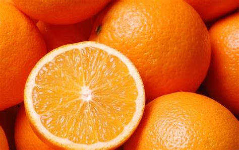 Oranges Bio Fruit Bio Livrés Dans Le Var