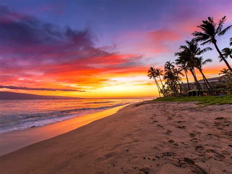 Maui Vacation - Leisure in the 