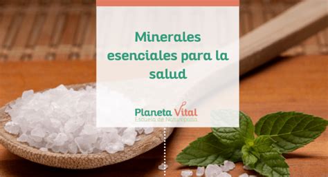 Nutrición Los Minerales Esenciales Para La Salud Planeta Vital