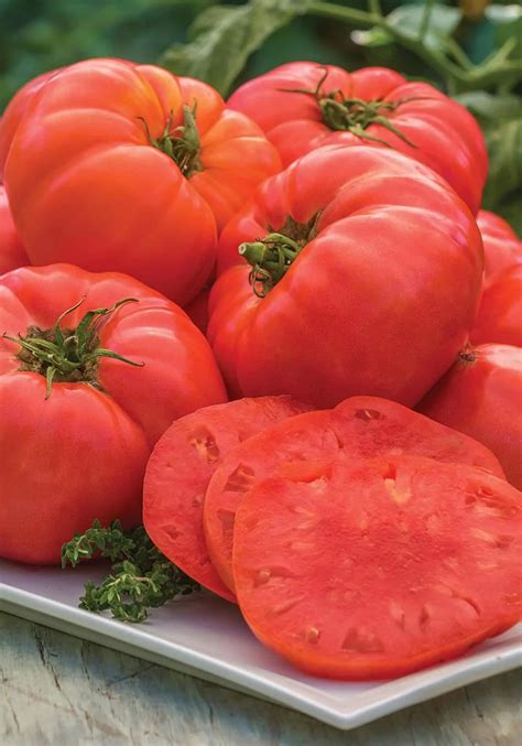 Beef Steak Tomato 195 Per Lb Majestic Foods Patchogue New York