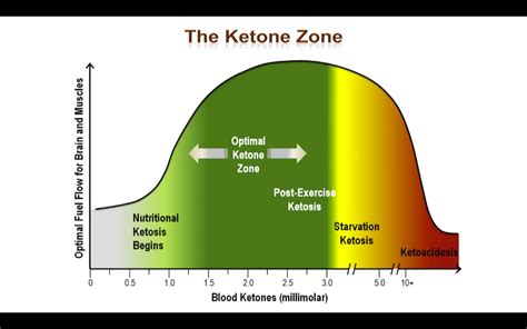 To get your results from this colorimetric urinalysis test, you simply match the color of your test strip to a color on the provided chart to determine your ketone levels. Why go Low Carb - A great video presentation. | Diabetes