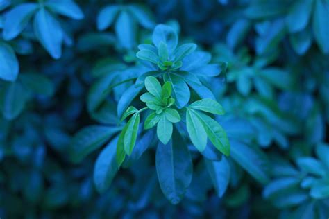 Since most quick wash cycles use the cold wash setting, this is also best for: Image result for cold colors photography