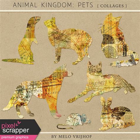 Animal Kingdom Pets Collages By Melo Vrijhof Graphics Kit