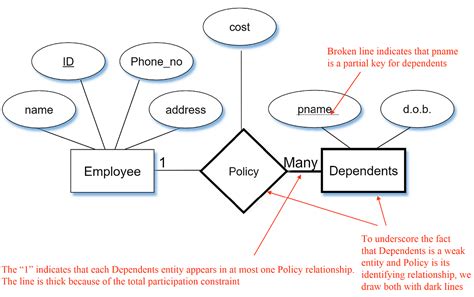 Beginners Guide To Entity Relationship Diagrams Erd By Despina