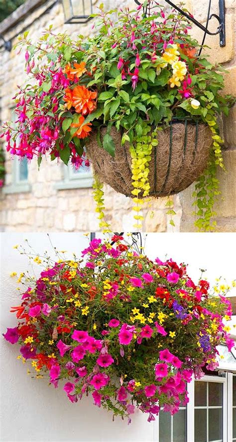 Create Stunning Hanging Baskets With These Beautiful Flower Planting Ideas