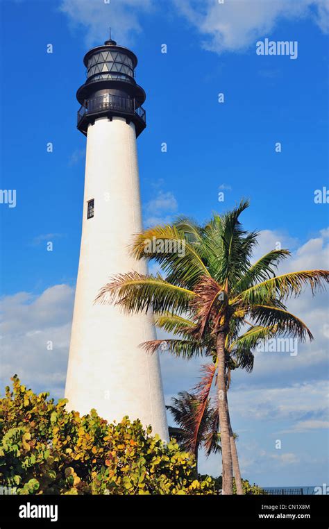 Cape Florida Light Lighthouse With Atlantic Ocean And Palm Tree At