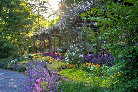 Spring Garden Tips And Inspiration From North Georgia Official