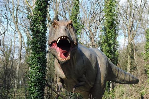 Port Lympne Safari Park And Dinosaur Forest The London Mummy