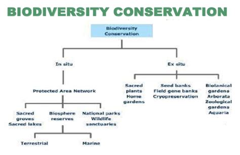 Difference Between Biodiversity Conservation Conservation Geography Map