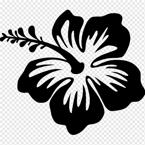Ilustración de flor de hibisco negro, dibujo de silueta hibisco, flor