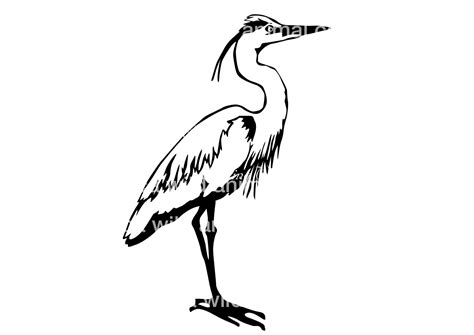 Great Blue Heron Svg Clipart Vector Graphic Art Bird Cut File Etsy