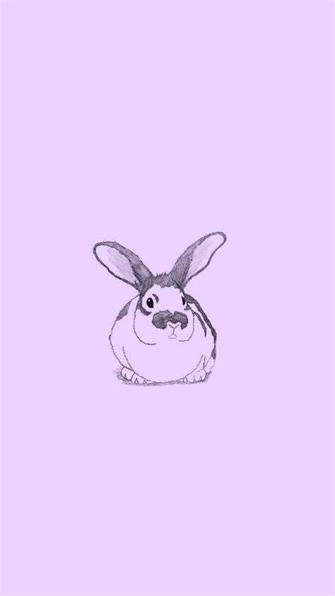 Aesthetic Bunny Wallpapers Top Free Aesthetic Bunny Backgrounds