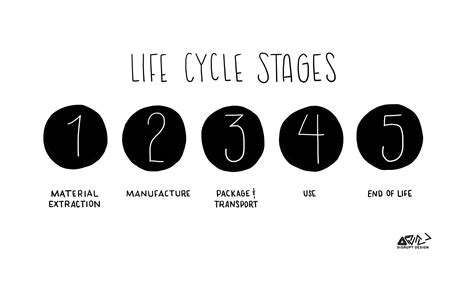 A Guide To Life Cycle Thinking Life Cycles Life Cycle Stages Life