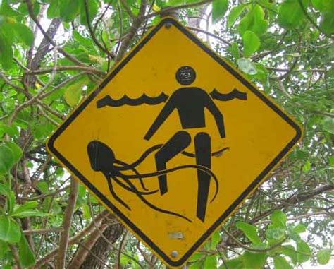 The Top 25 Most Ridiculous Road Signs